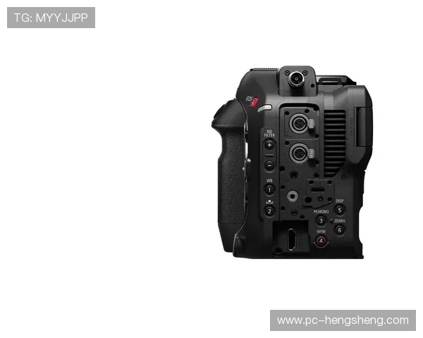 尊龙z6手机版安全稳定运行保障用户隐私与数据安全