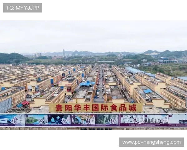 威龙国际：深耕亚洲市场，推动区域经济一体化发展的重要力量