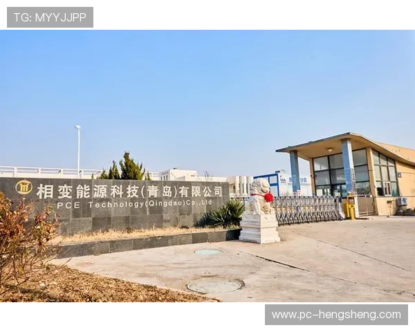 龙腾娱乐公司简介：了解公司在行业中的竞争优势、技术创新及企业愿景的深度剖析